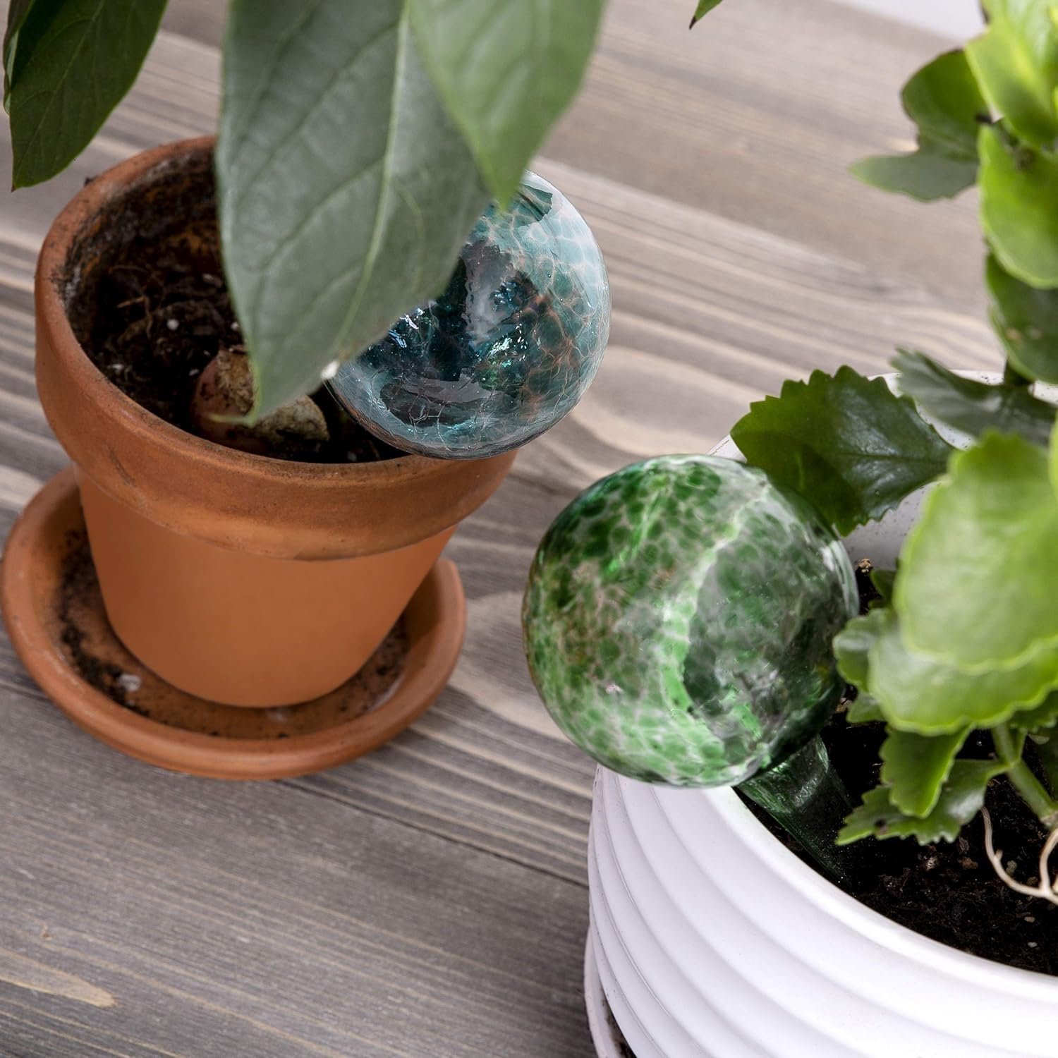 Colorful 4-Pack Mini Watering Can Set