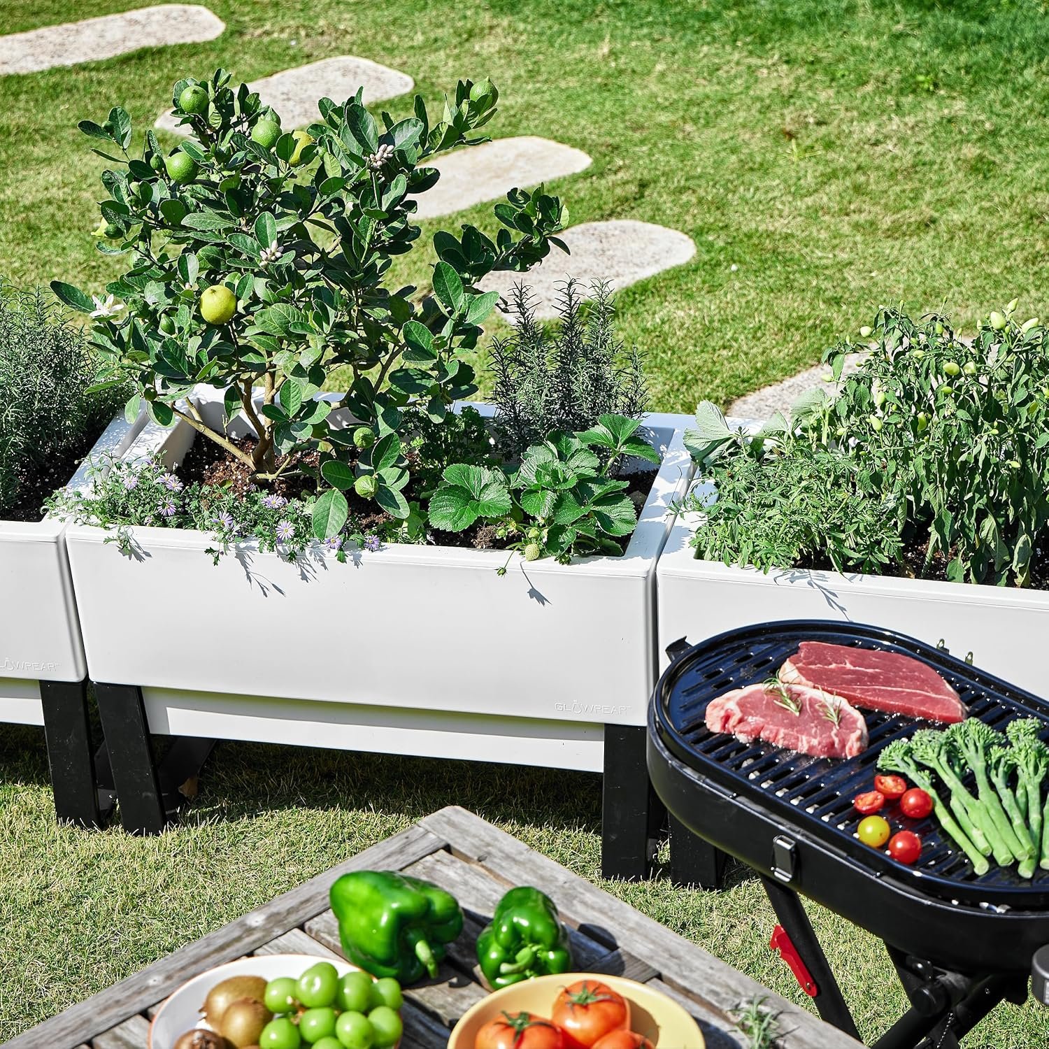 Lush herb garden in self-watering planter with hands harvesting fresh herbs