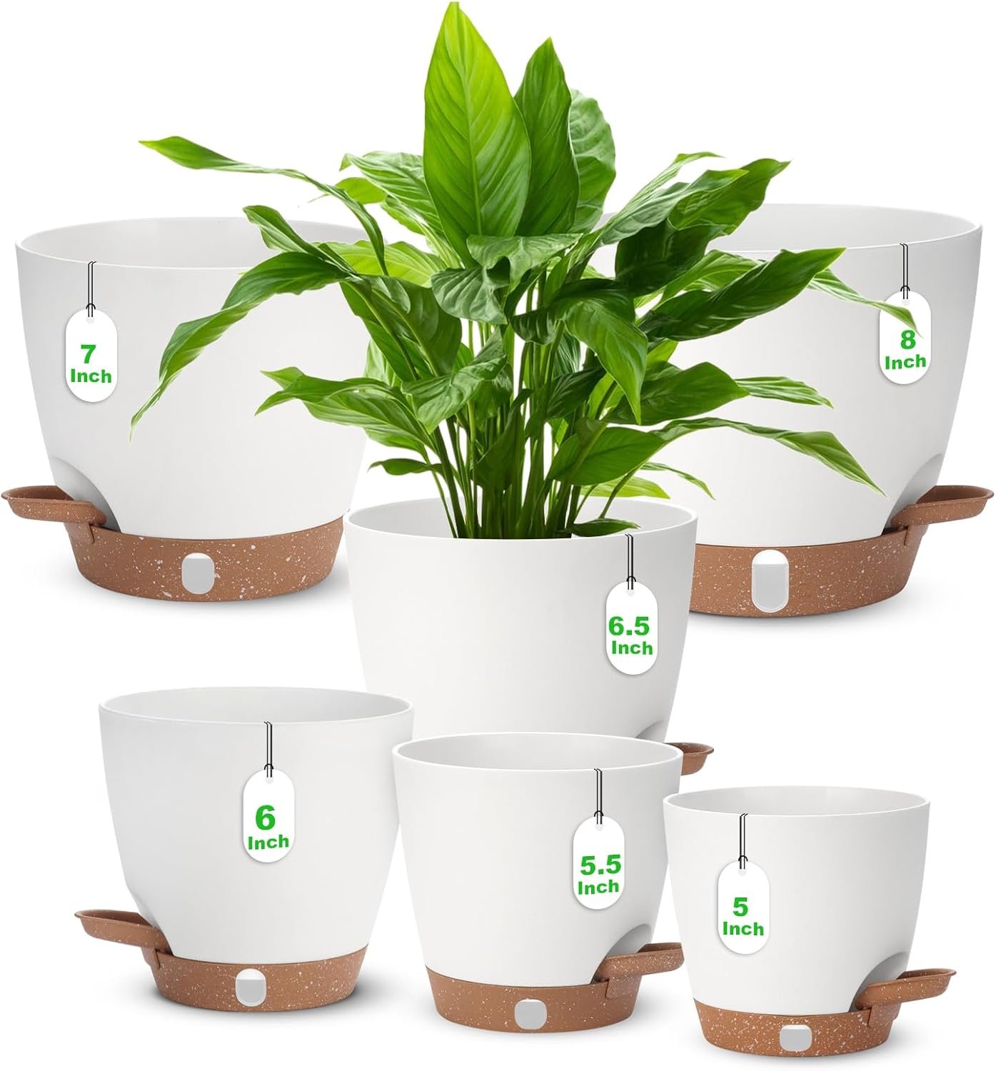 Self-Watering Succulent Pots 6-Pack