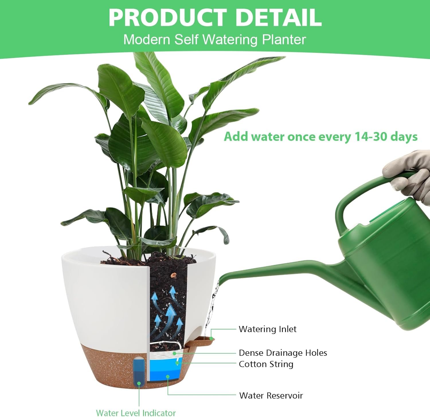 Close-up of self-watering pot mechanism showing reservoir
