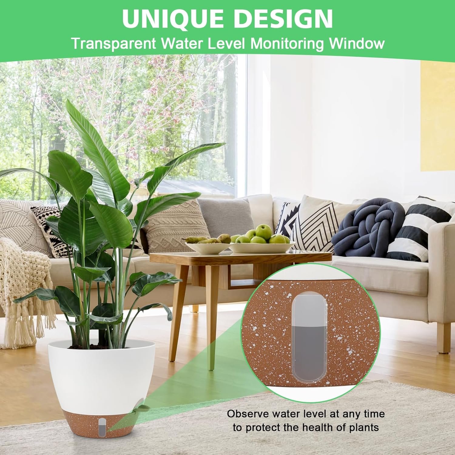 Various succulents growing in self-watering pots arranged on shelf